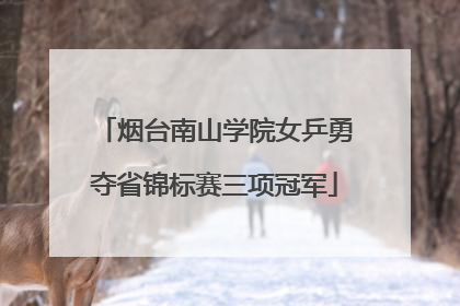 烟台南山学院女乒勇夺省锦标赛三项冠军